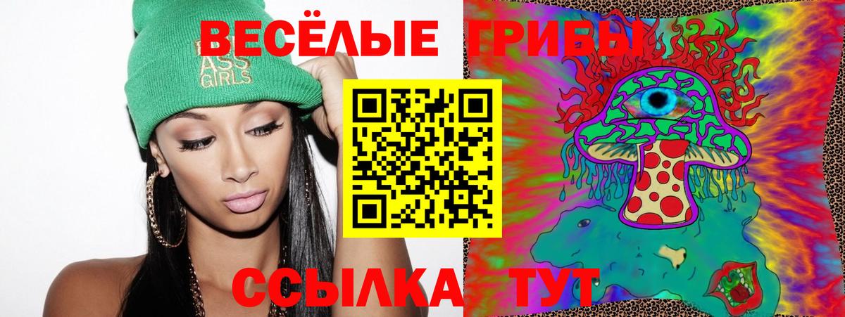 Галлюциногенные грибы Psilocybe  Вход с VPN  Соликамск  Псилоцибиновые грибы Psilocybe 
